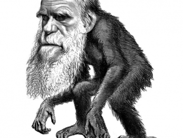 The ill-health of Charles Darwin